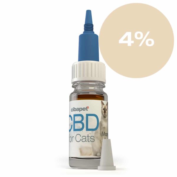 Un flacon d'Huile CBD 4% de Cibapet pour chats (10ml) pour chat.